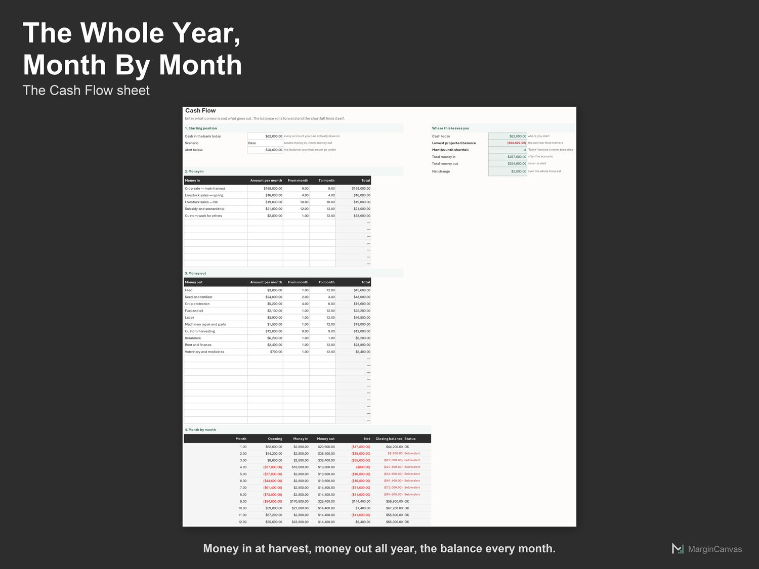 Cash Flow sheet with money in, money out and the balance by month